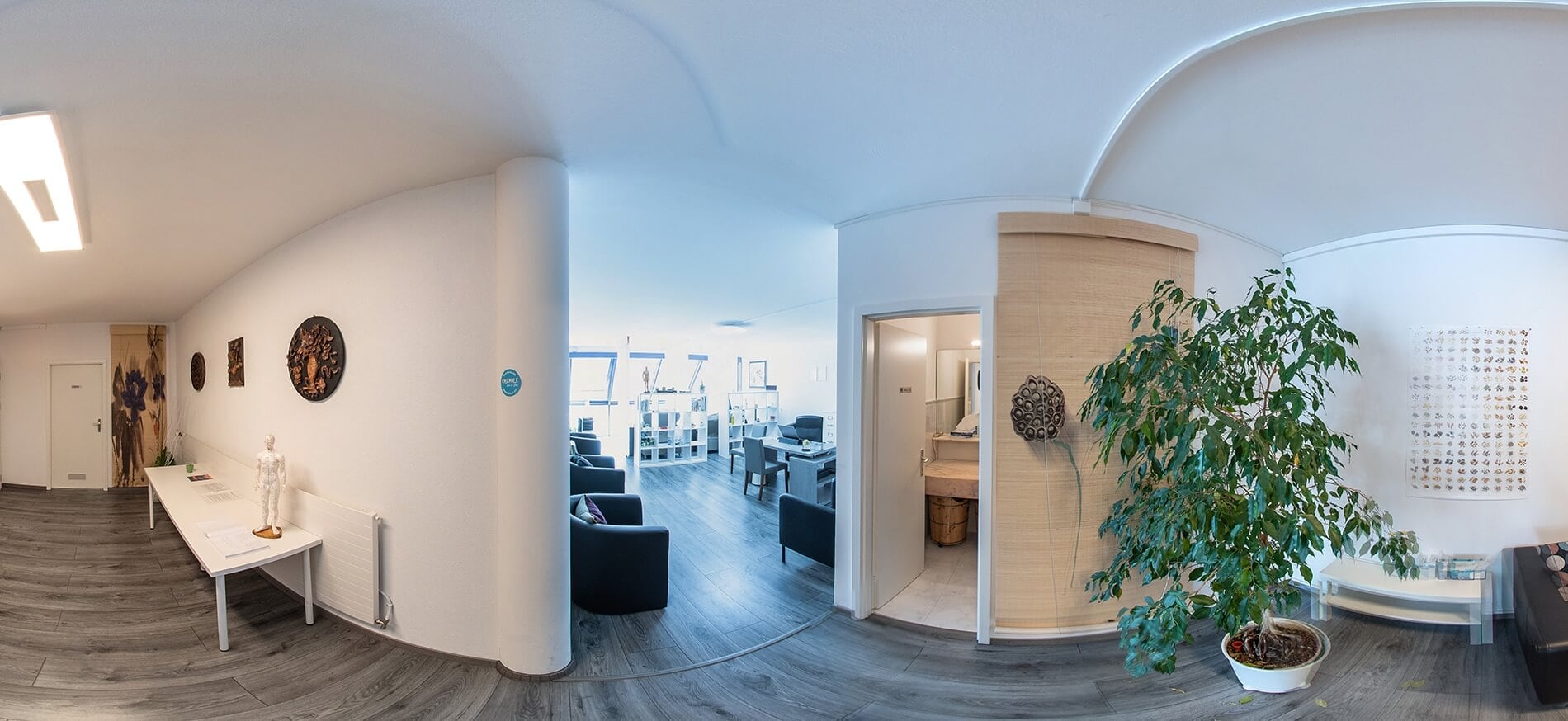 Cabinet de Médecine Traditionnelle Chinoise à Gland, Suisse romande